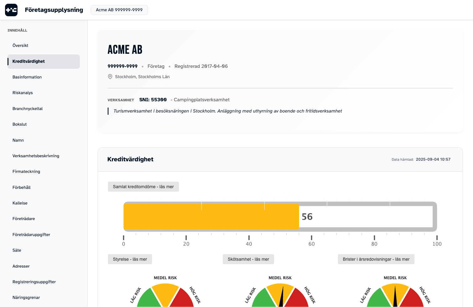 Exempel på företagsrapport